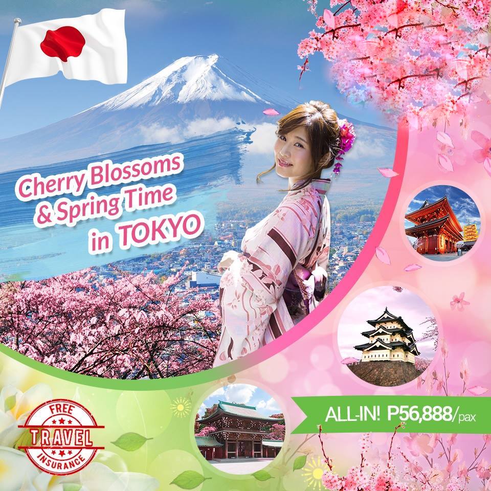 49648179_1185135064983473_8198528965275549696_n